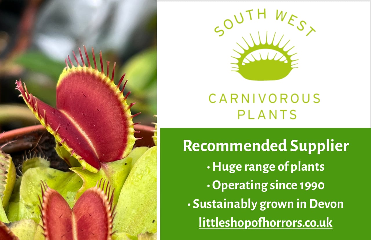 Carnivorous plants discount code