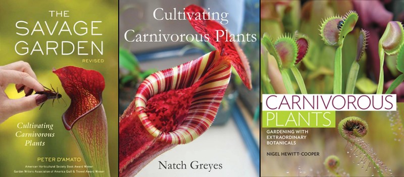 My top recommendations for books on carnivorous plants.